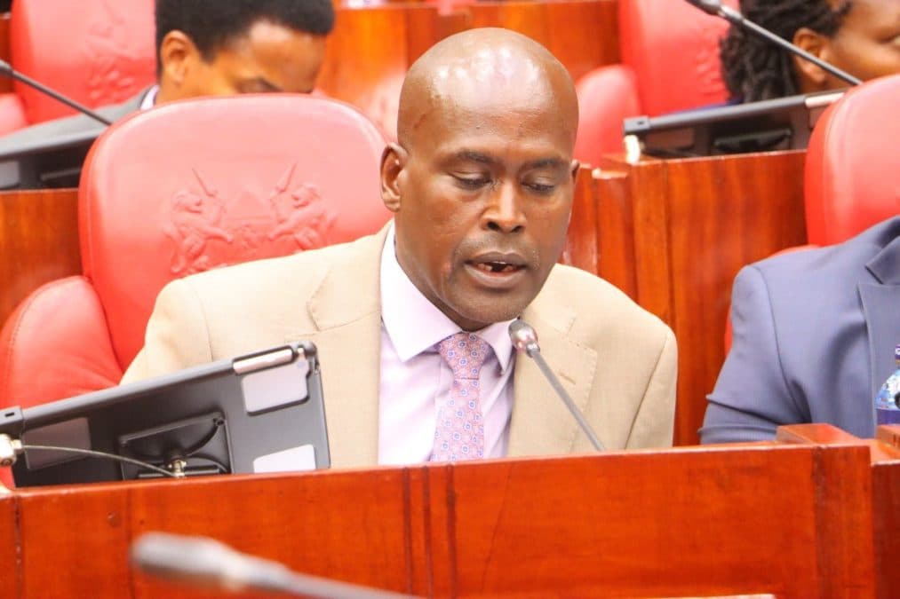 Land Grabbers Target Kenya's State Lodges, Metito Warns Parliament