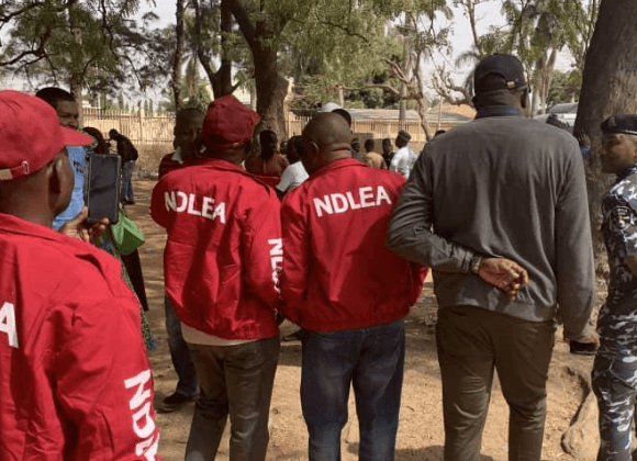 Hunter Hunted: NDLEA Cages Amotekun Officers Demanding Better Pay