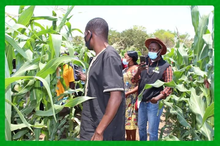 Tanzania Empowers Youth with Multi-Billion Agribusiness Initiative