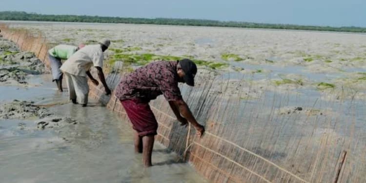 Blue Gold: Why Kenya’s Ocean Wealth is the Next Economic Frontier