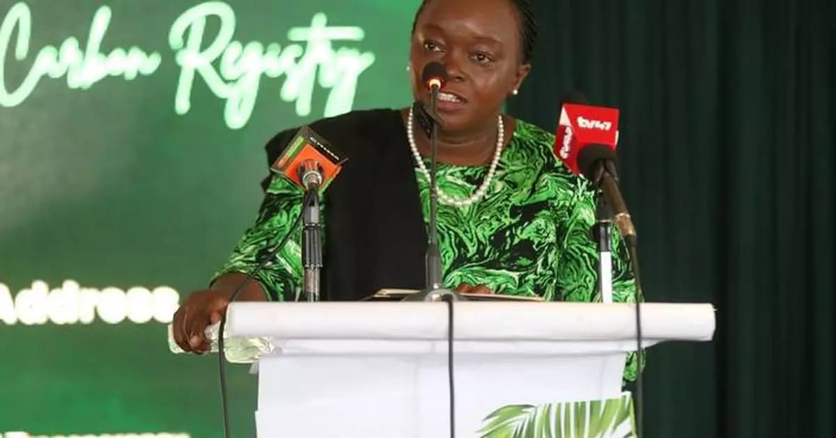 KWS now eyes race for carbon credits billions