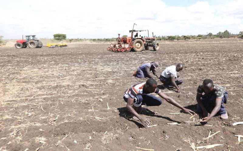 Rift Valley Counties Unite to Save Kenya’s Crumbling Food Basket