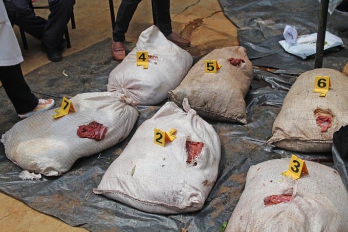 Authorities seize two tonnes of illegal bushmeat in Nairobi