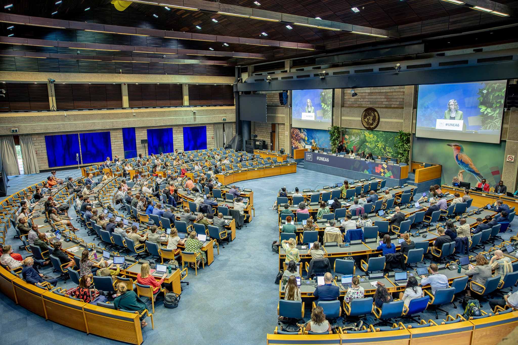 UN Nairobi Office Announces 30 New Vacancies for Kenyans