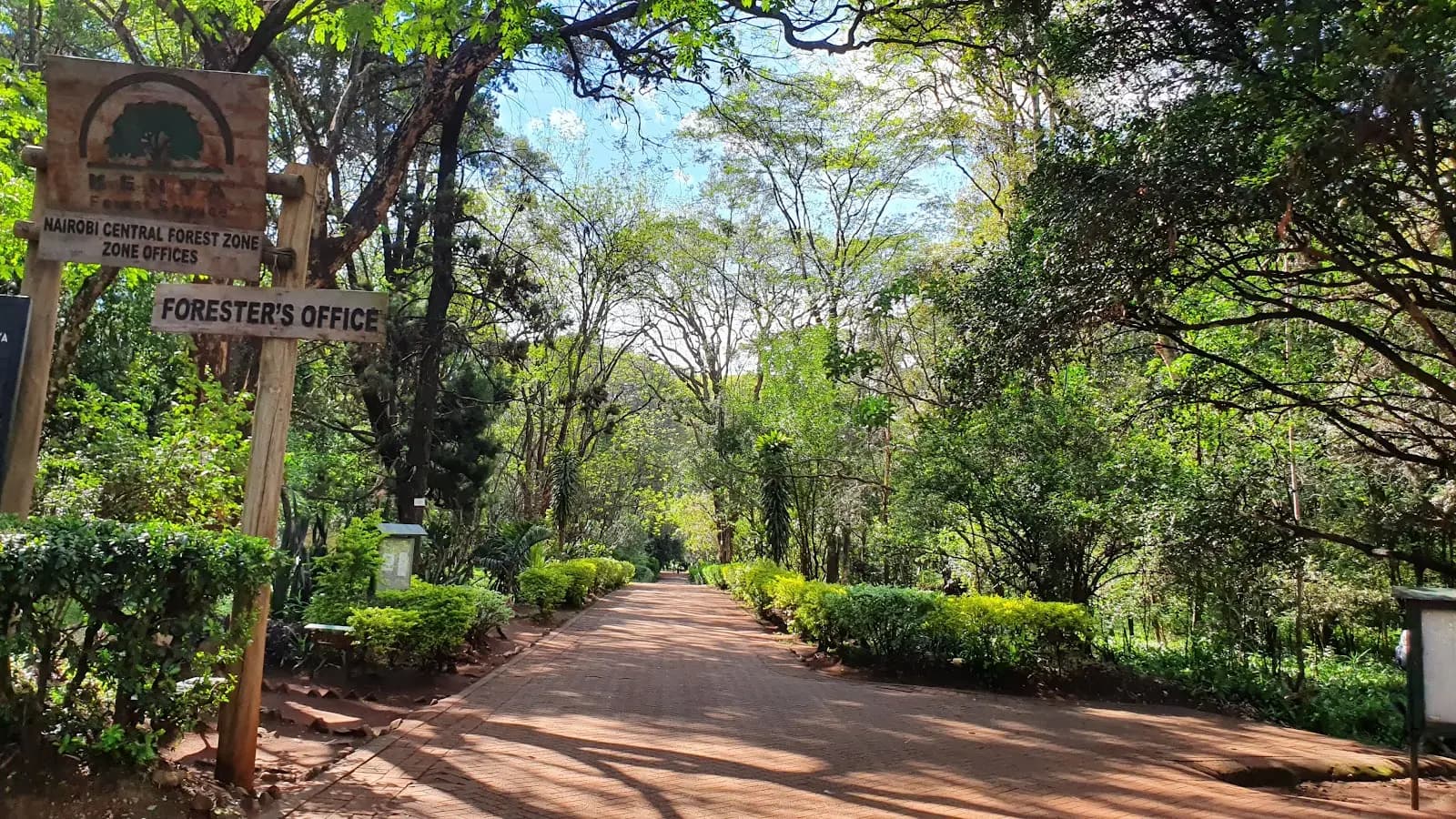 Nairobi Arboretum Offers Restorative Escape from City Life