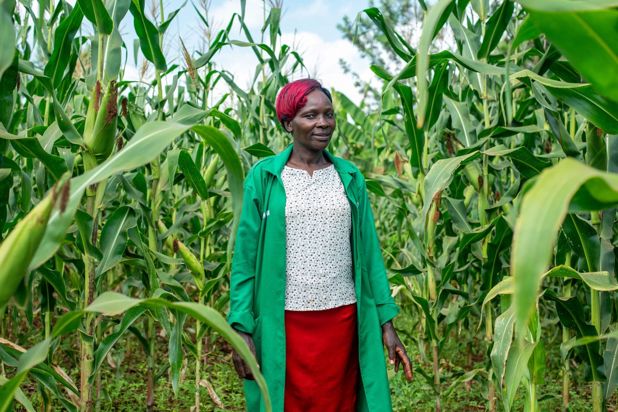 Soil SOS: Africa Must Embrace Organic Farming to Halt Superbugs