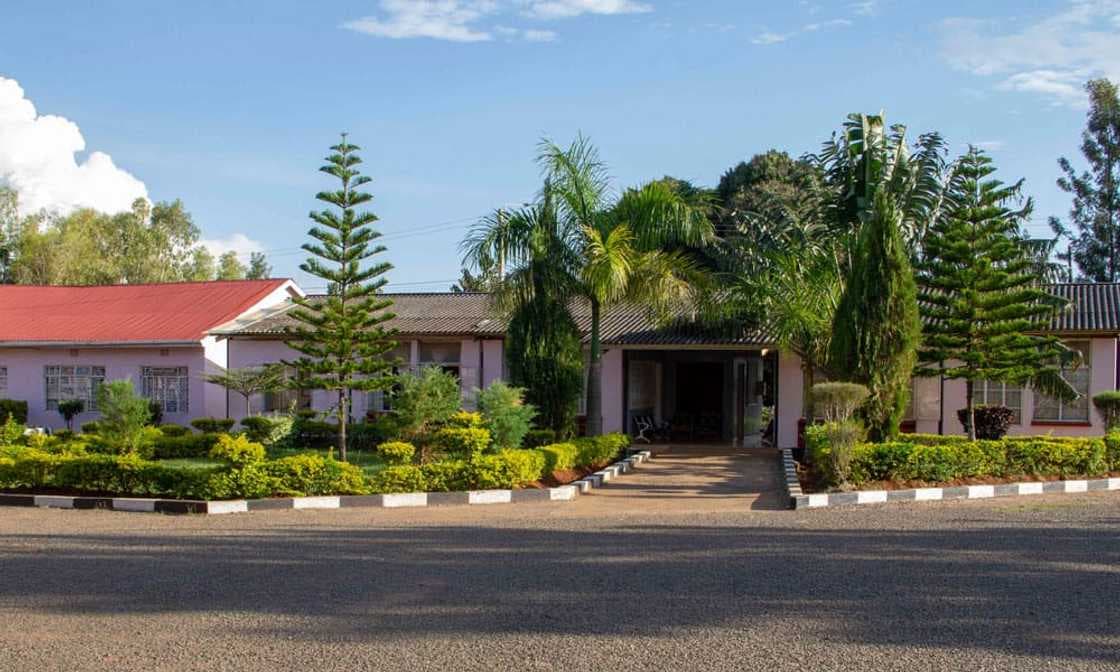 Nyanza's Big Three: Maranda, Maseno, and Asumbi Crush the 2025 KCSE