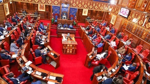 Senate Reviews Thika Municipality Bid For Smart City Status