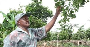 Kwale County Farmers Embrace Climate-Smart Agriculture to Boost Resilience and Food Security