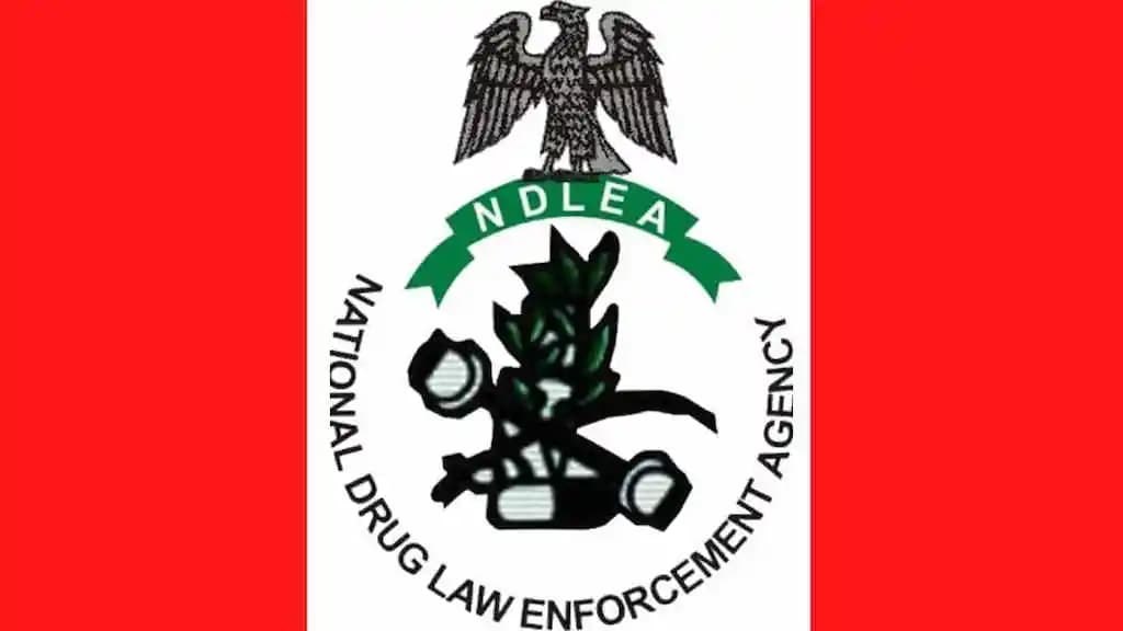 Legal Blow for NDLEA: Court Orders Proxy Night Club to Remain Open Despite Drug Raid