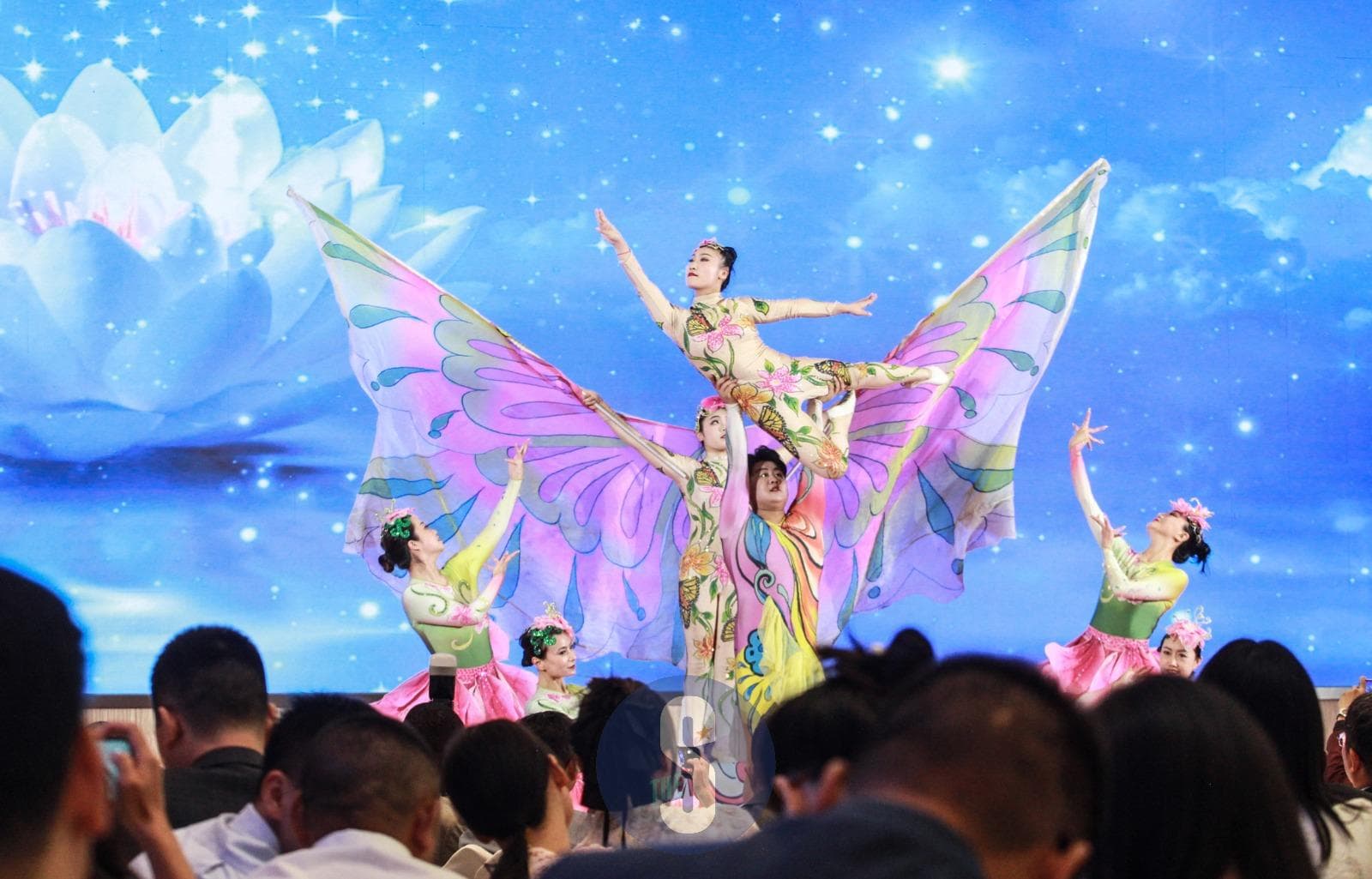 Galloping Ties: Kenya Embraces Chinese Year of the Horse