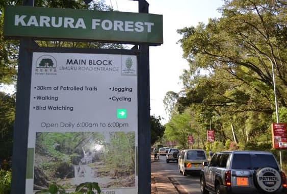 KFS Issues Safety Advisory After Alleged Python Sighting in Nairobi’s Karura Forest