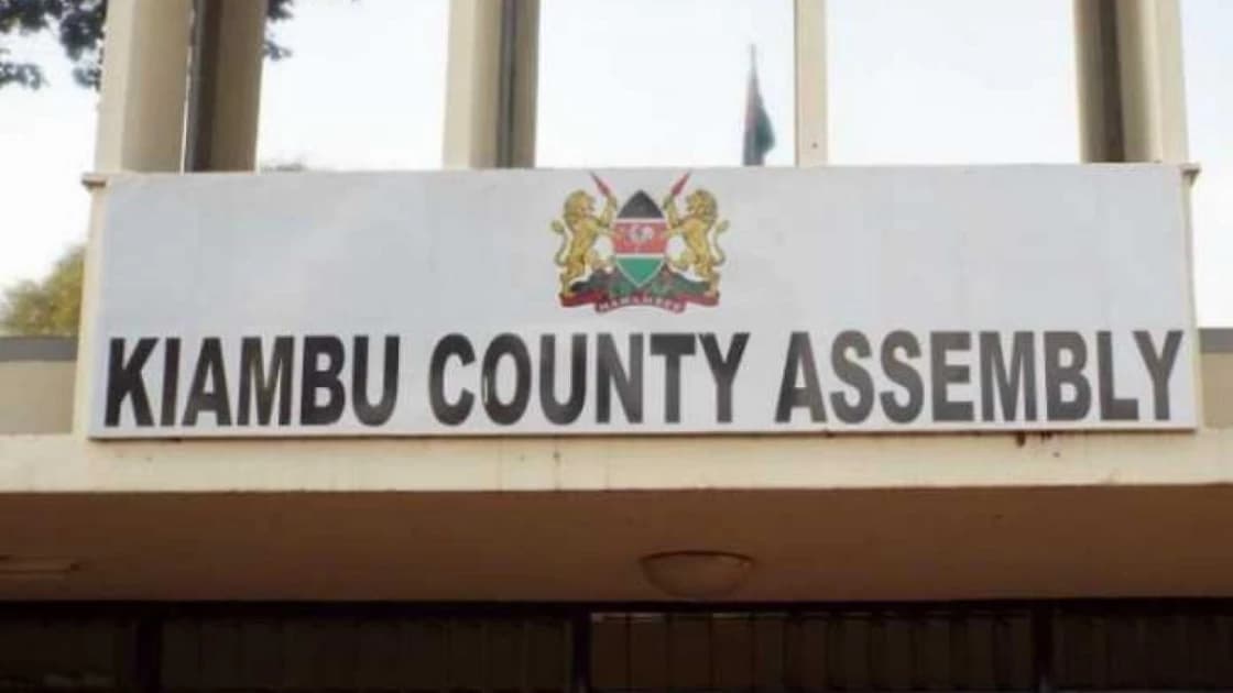 Guns and Goons: Kiambu MCAs Allege Terror Tactics in Wamatangi Ouster Plot