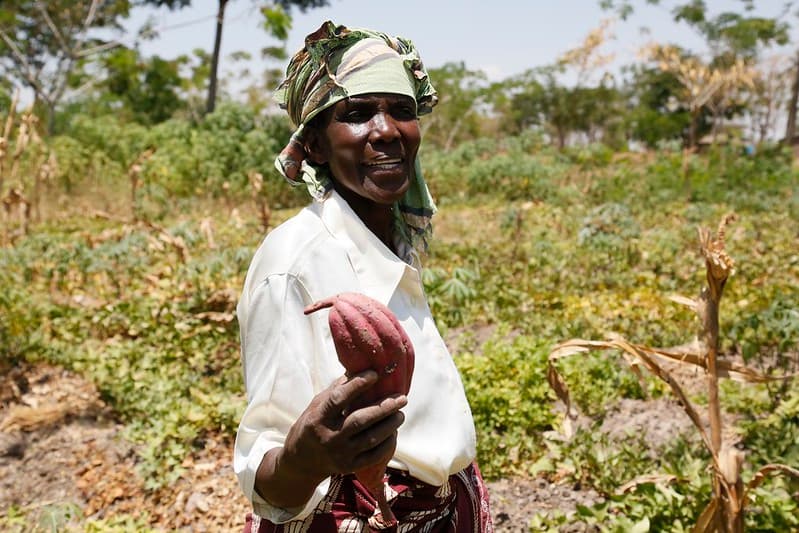 Tanzania’s Food Security at Risk Amidst Systemic Agricultural Failure
