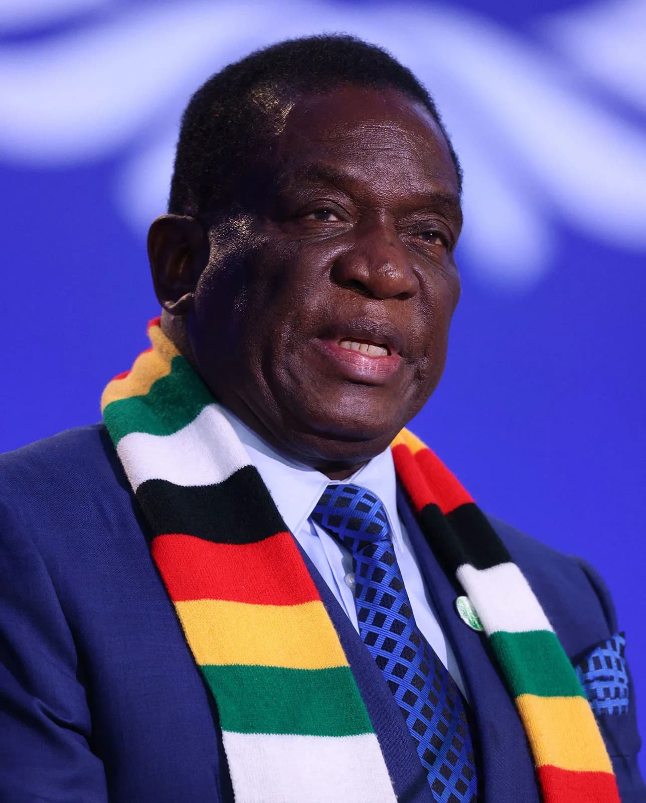 Emmerson Mnangagwa