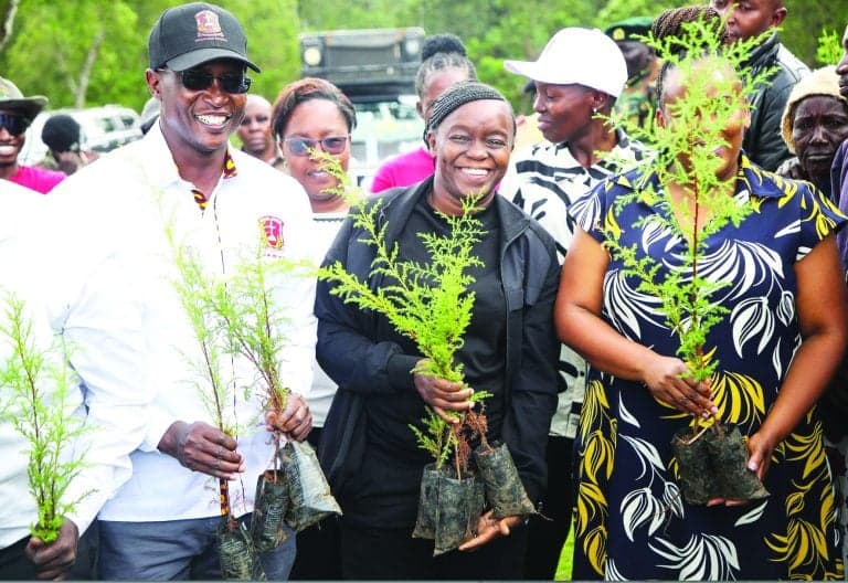 Race to 15 Billion: Barasa Unveils 'Mega Nursery' Plan as Target Lags