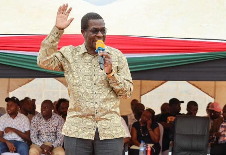 Wandayi Pledges ODM Support for Ruto's 2027 Re-election Bid
