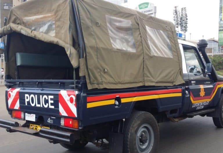 Police Recover 10 Stolen Camels in Turkana Amidst Escalating Insecurity