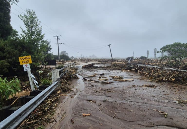 Terror at the Campsite: Landslides Bury Tourists in New Zealand