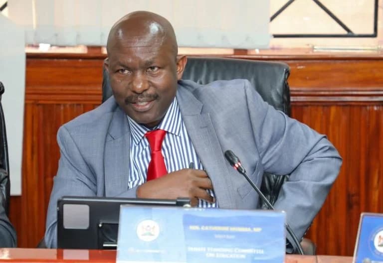 Senator Omogeni Slams UDA-ODM Deal With Bleak 20% Scorecard