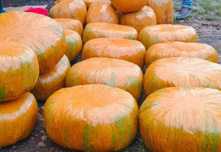 Security Clampdown: Narcotics Seizure On Key Transit Route