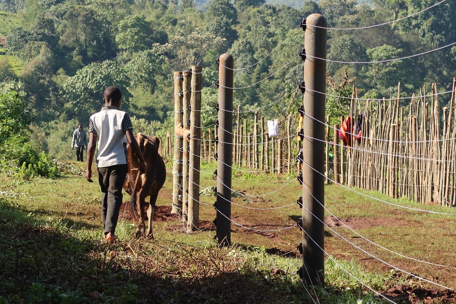 Rhino Ark Powers 7.8km Fence to Shield Vital Mau Water Tower