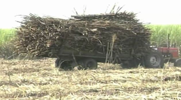 Reveal Sugar Deal Secrets or Face Prosecution, Ombudsman Tells PS